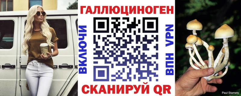 Псилоцибиновые грибы Cubensis Высоцк
