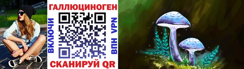 цена наркотик  Высоцк  Псилоцибиновые грибы Psilocybine cubensis 