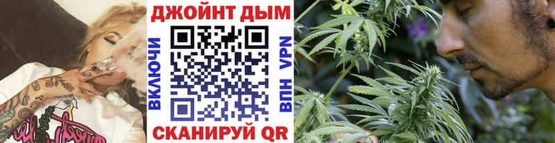 Каннабис сатива Высоцк